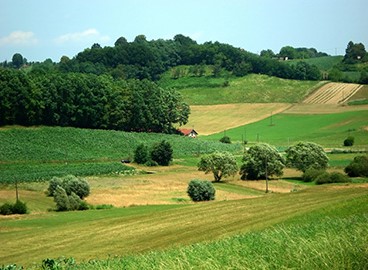 Natječaj iz Europskog poljoprivrednog fonda za ruralni razvoj (EPFRR) za provedbu podmjere 4.1., operacija 4.1.2.